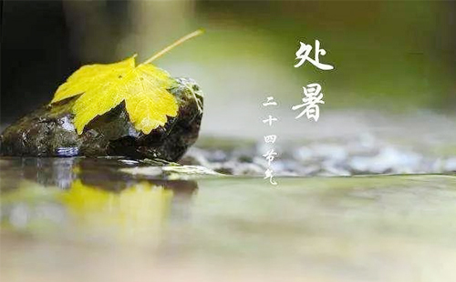 【處暑新啟，力蓋同行 —— 龍工叉車(chē)甘肅核心經(jīng)銷(xiāo)商與您共筑安全高效的物流新篇章】